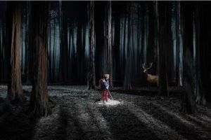 Le bruit des Loups / Photo Prisma Laval