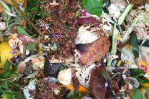 Bio déchets / Photo 7 Jours à Clermont