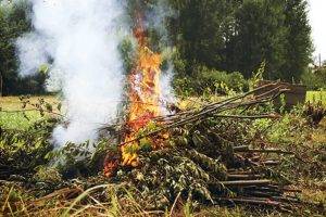 Brûlage déchets verts / Photo DR