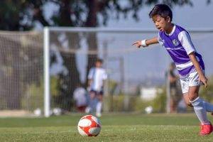 Photo - Dimitris Vetsikas - Pixabay