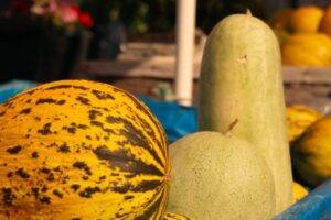 Courges / Photo Buse D - Pexels