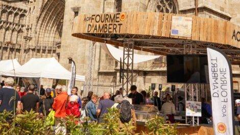 Fourmofolies / Photo Clara Michard