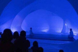 UMAA / Photo Marc Domage