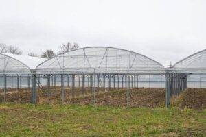 Ferme du rebond Photo Jodie Way