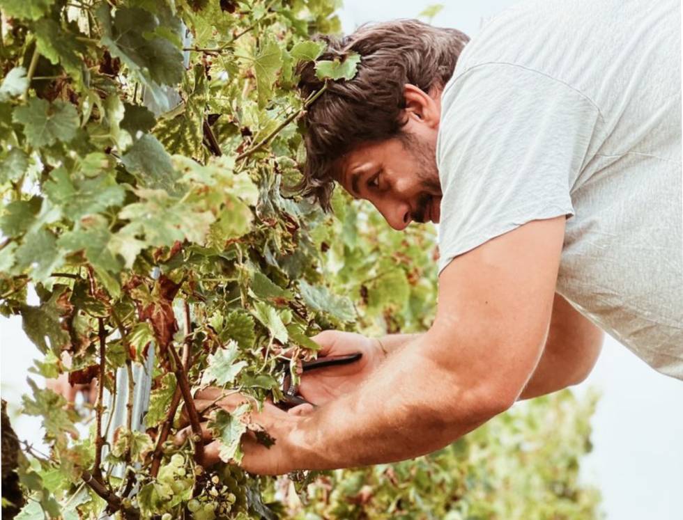 "Dans la vigne" Photo Rémi Lamerat