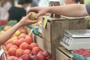 Marché / Photo Erik Scheel - Pexels