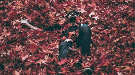 Photo Ashutosh Sonwani pexels