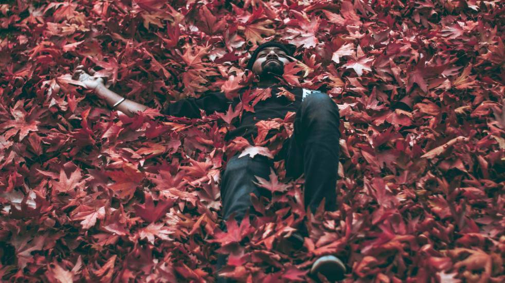 Photo Ashutosh Sonwani pexels