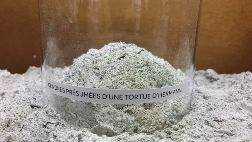 Installation expo photo "+ 2 degrés contre feux» Photo 7 jours à Clermont