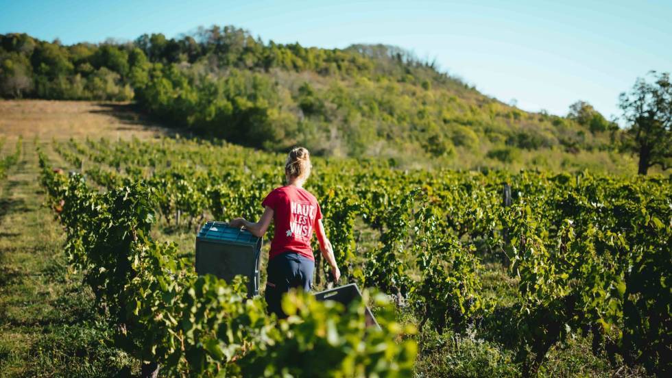 Audrey Baldassin photo Grégoire Delanos