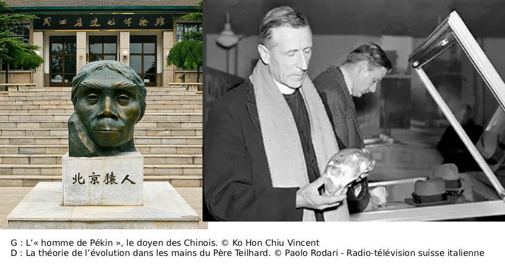 P Teilhard de Chardin