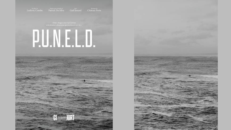 P.U.N.E.L.D, affiche et photo Ludovic Combe